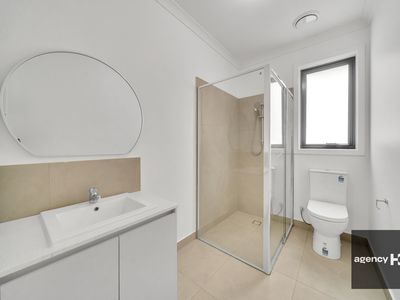 19 Copal Street, Cobblebank