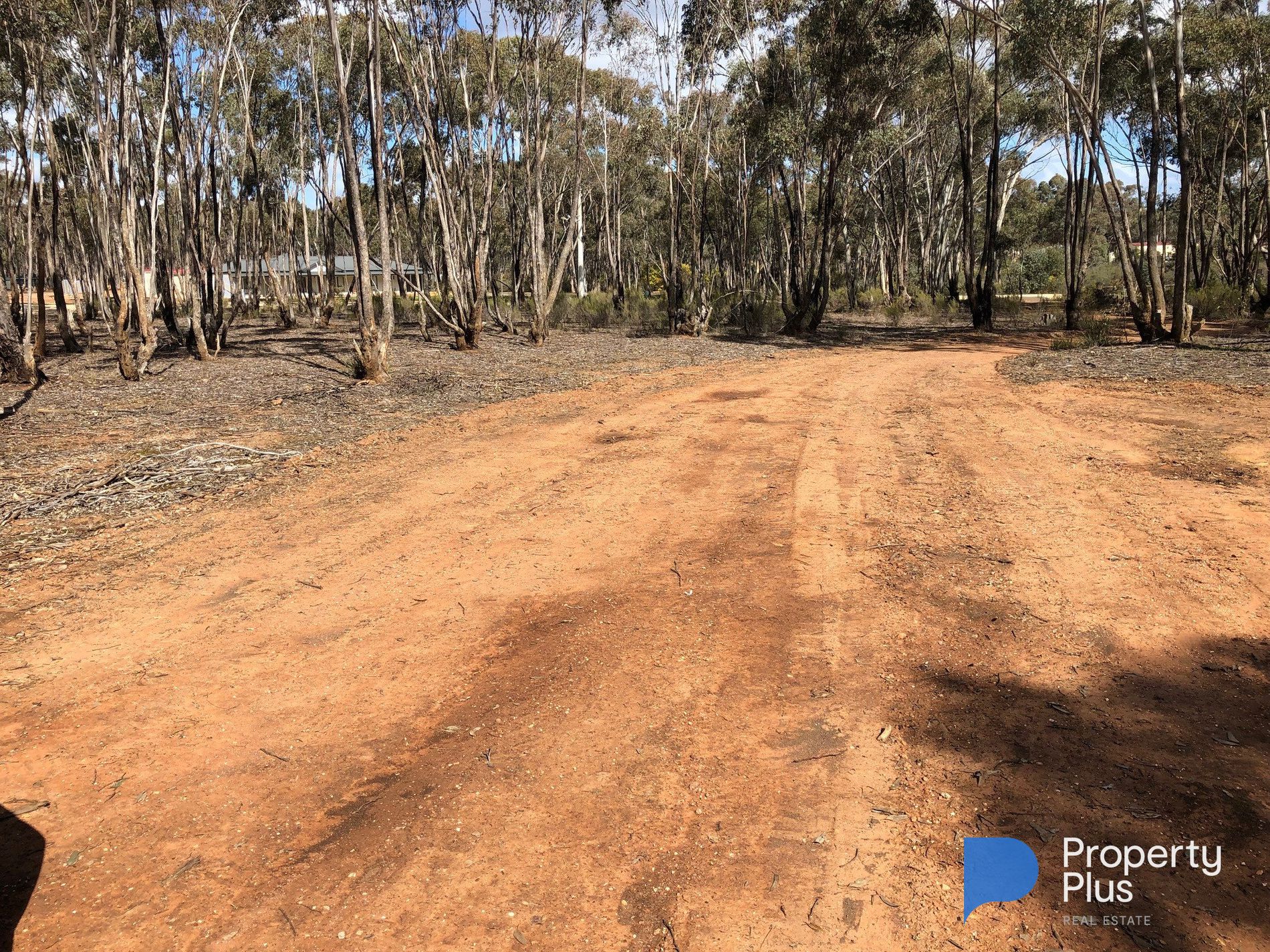 59 Palmer Road, Simson