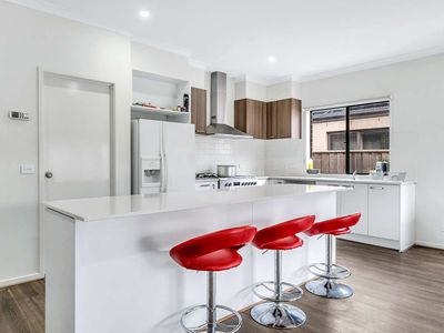 17 Mathoura Avenue, Werribee