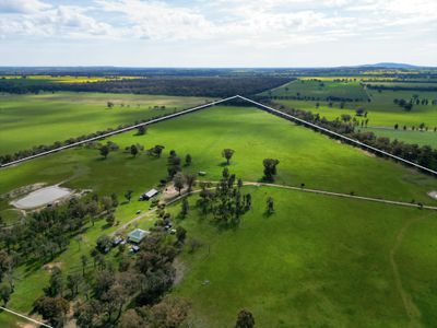 'Burnside' 1009 Howlong-Balldale Road, Balldale