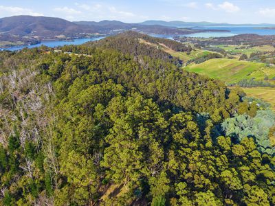 Lot 1 Hollands Road, Cygnet