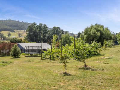 99 Britcliffes Road, Geeveston