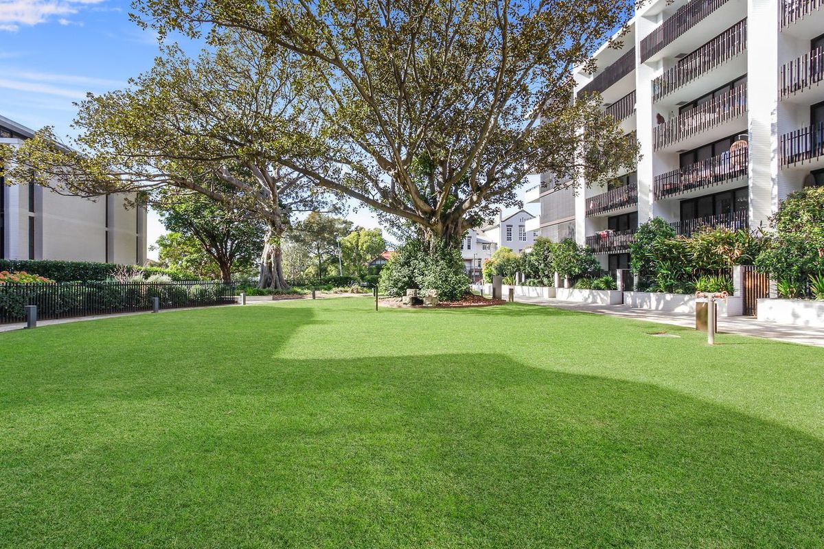 6409 / 32 Wellington Street, Bondi