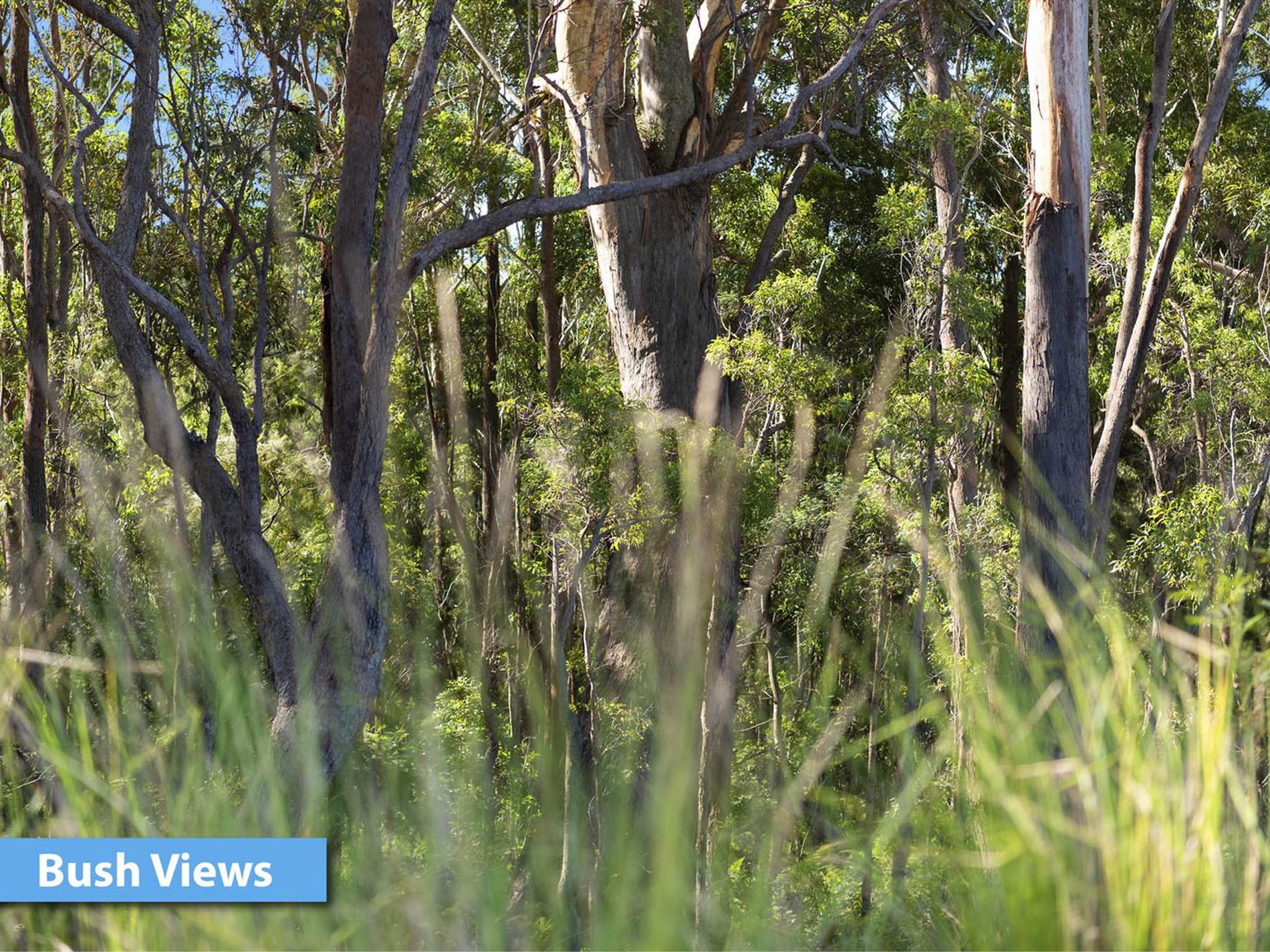 128 Seaspray Street, Narrawallee