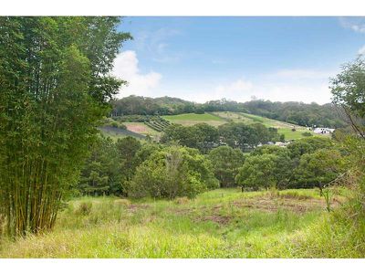 139 Perwillowen Road, Burnside