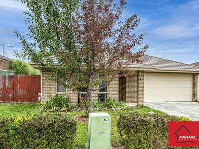 8 RENFREE STREET, Casey