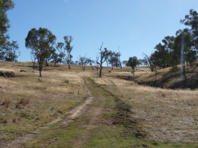 Boxwood Park Road, Bungowannah