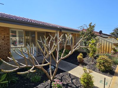52 / 99-101 Alexander Drive, Dianella