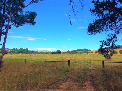Lot 1, 530 Maroondah Highway, Merton