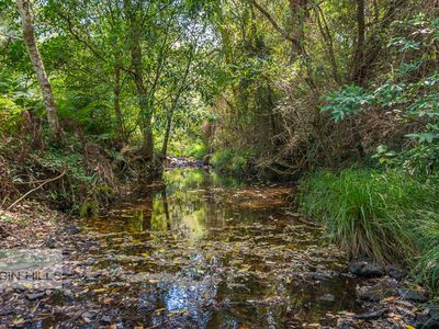 129A Bolziccos Road, Kyogle