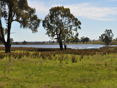 Albury