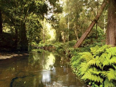 105 Green Valley Rd, Kangaroo Valley