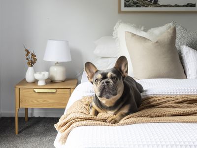 1 / 3 Mary Street, Spotswood