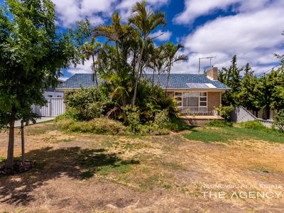 20 Myimbar Way, Nollamara