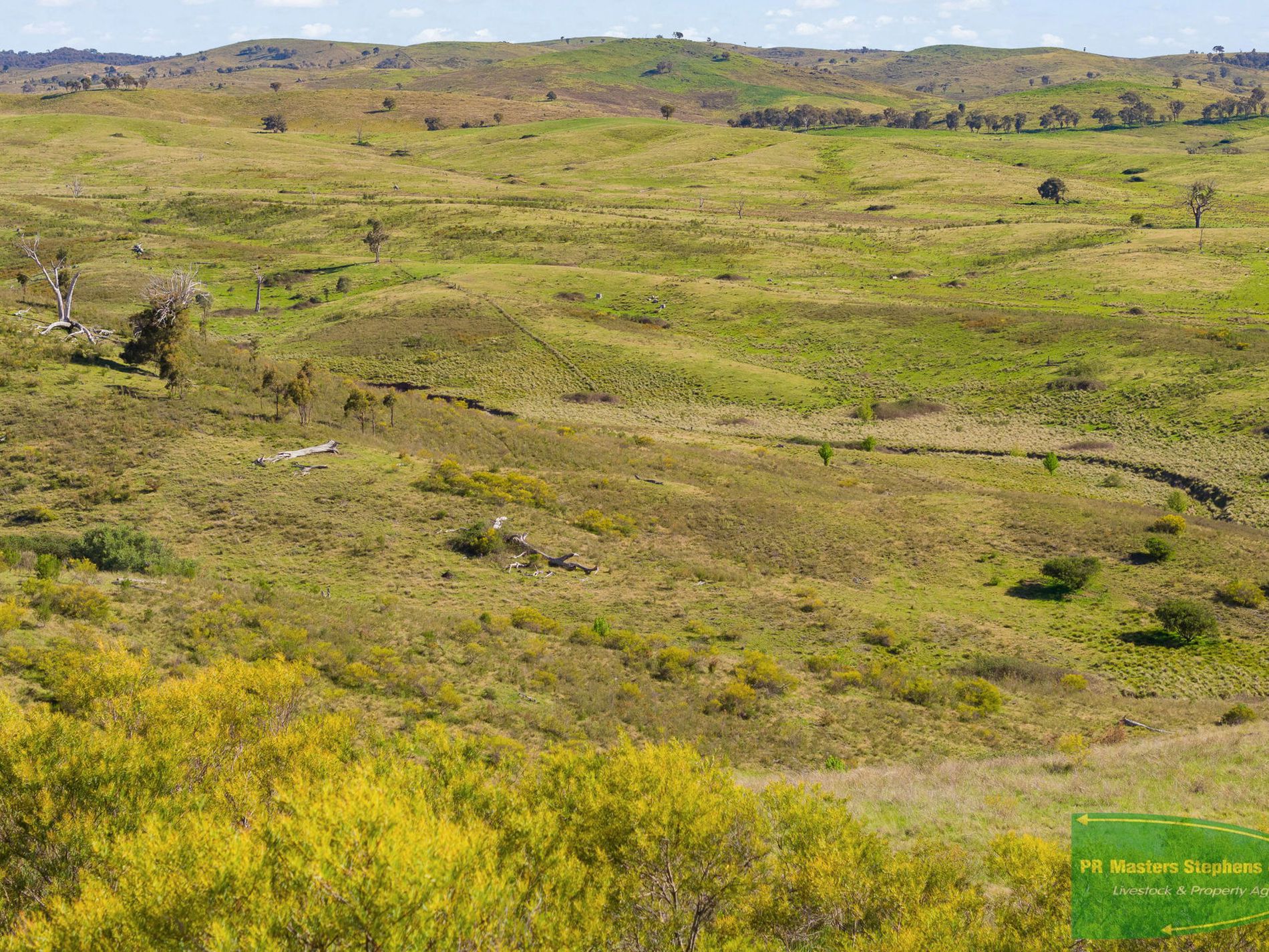 351 Shepherds Creek Road, Euchareena
