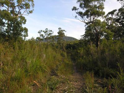 Lune River Road, Lune River