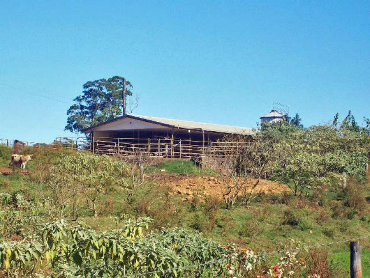Tarzali