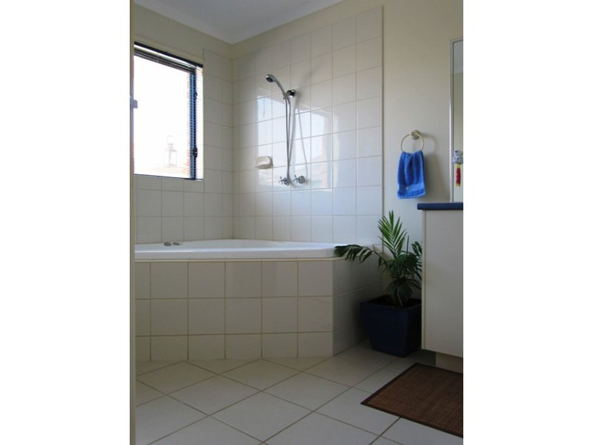 7 Bonica Street, Tarneit