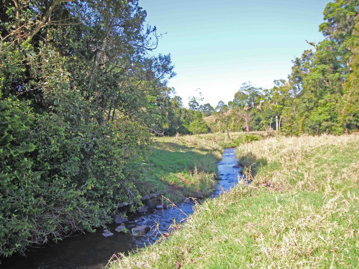 Millaa Millaa