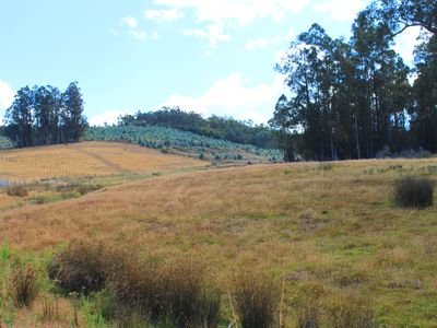 Lot 1, Harwoods Road, Castle Forbes Bay