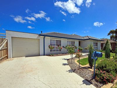 3 Whimbrel Court, Werribee