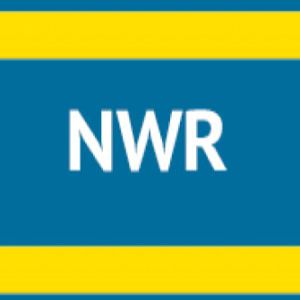 agent