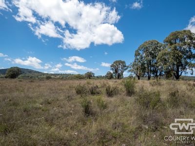 Lot 6, 2202 Wellington Vale Road, Emmaville