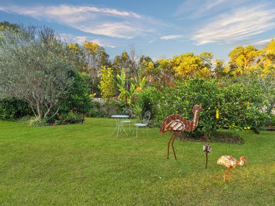 11 Scaroni Court, Ningi