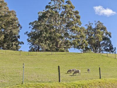 44 Cliff View Drive, Allens Rivulet