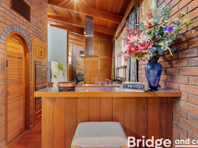 16 John Cleland Drive, Beaumont