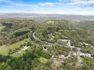 264 Ackland Hill Road, Coromandel East