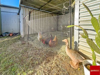 2A Rodney Street, Gunnedah