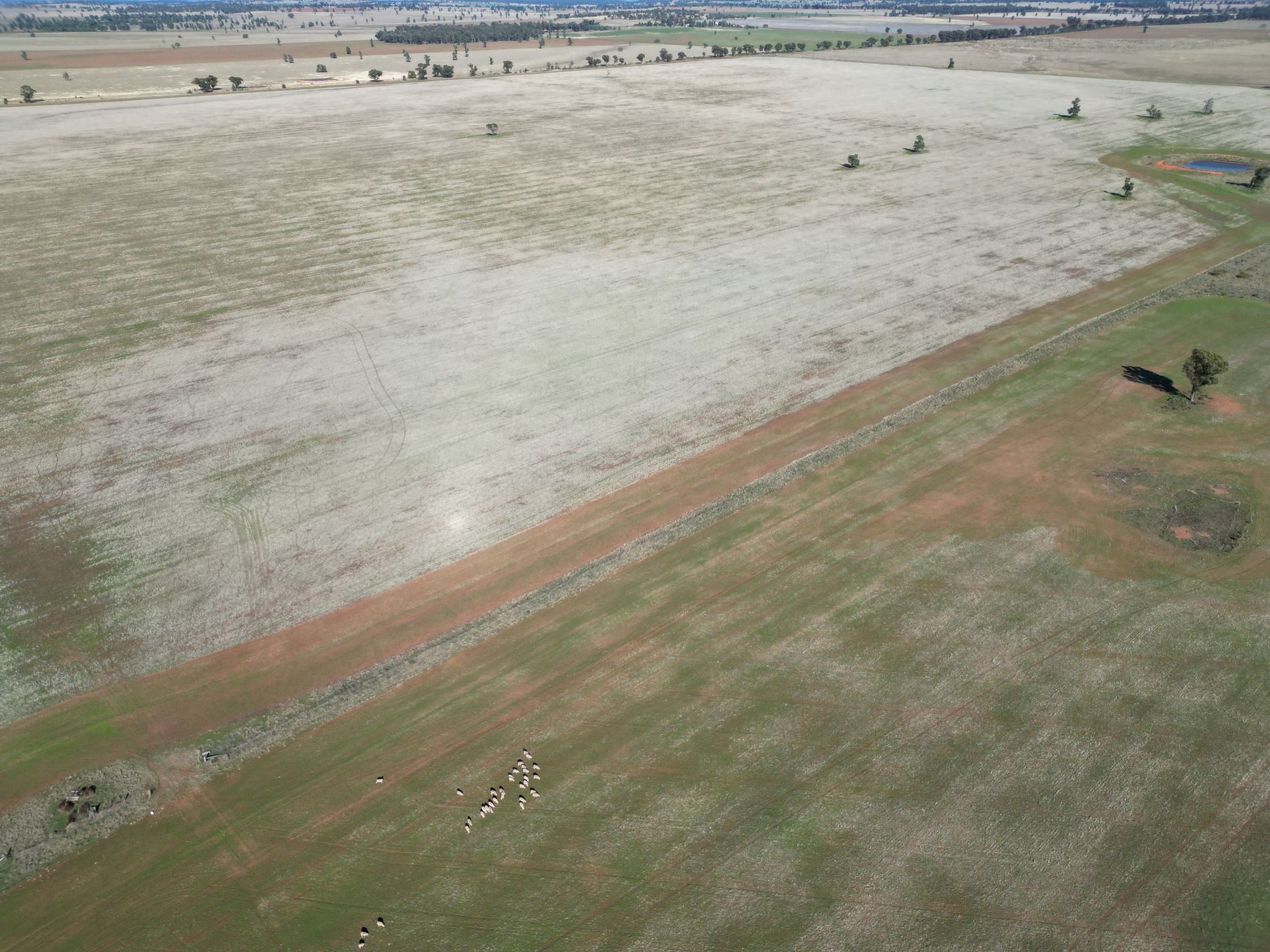 'Durringle' 104 Pfeiffers Lane, West Wyalong