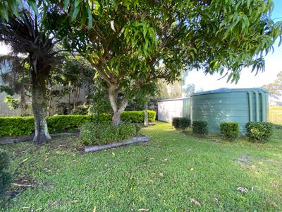 8 Picnic Street, Pialba