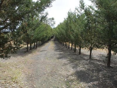 Lot 1  Northern Highway, Heathcote