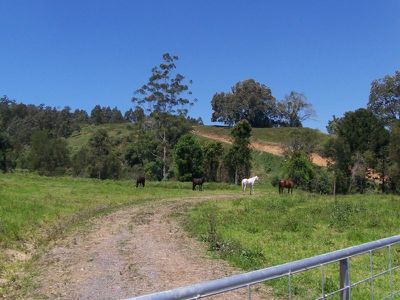 Lot 2, Upper Cedar Creek Road, Maleny
