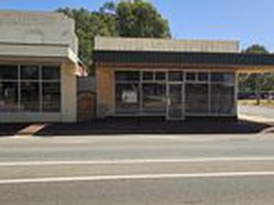 21 Donnan St, Tammin