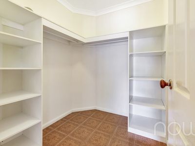 5 Wodyetia Close, Durack