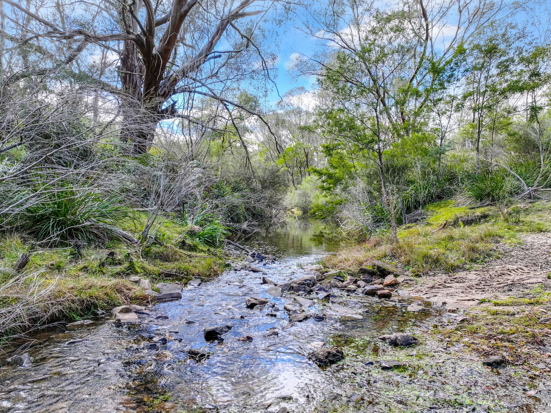 Lot 193 / 443 Back Creek Road, Mongarlowe