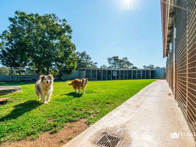 Pet Retreat Boarding Kennels Business For Sale with 114 acres Property