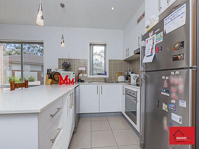 8 / 32 Coane Street, Holder