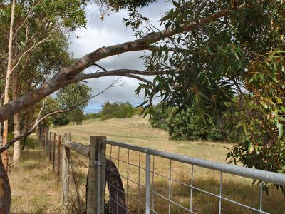 Lot 829, Pistol Club, Rocky Camp