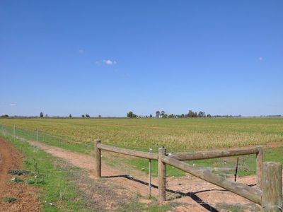 Kerang
