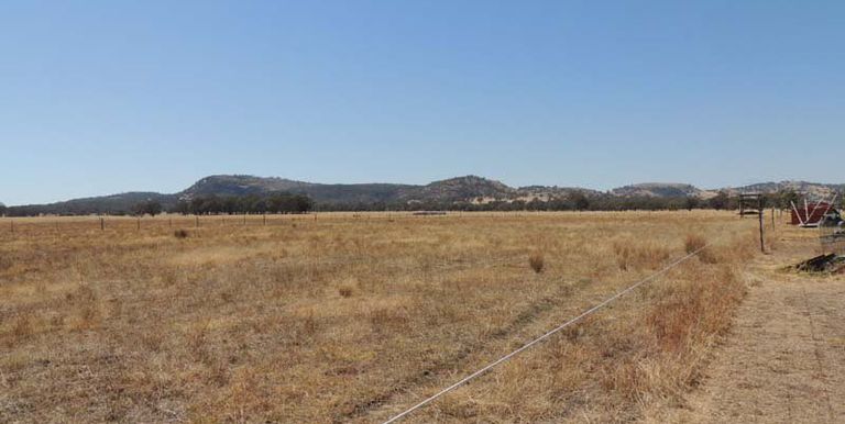 100 Repeater Road Locksley, Avenel