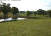 129 Mt Top Road, Orange
