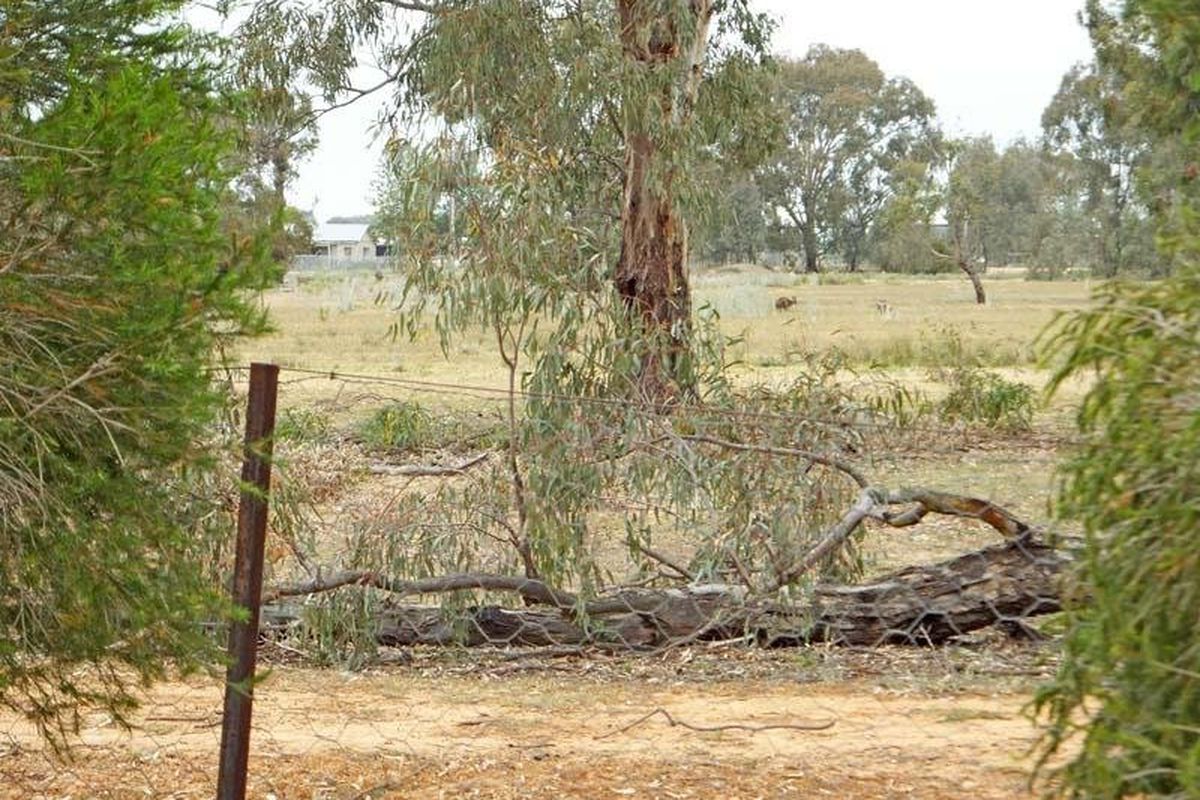 7 Corella Crescent, Kyabram