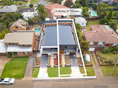 3 Wesley Street, Telopea
