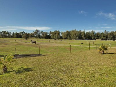 24 Spoonbill Place, Albion Park Rail