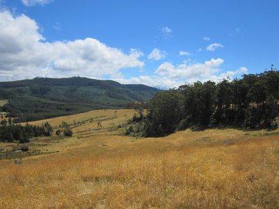 Office HUON / Highway, Dover