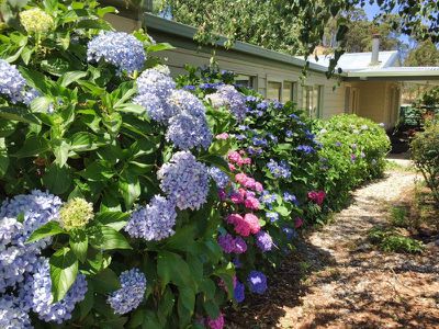 205 Piries-Goughs Bay Road, Piries